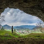 Tree Апартаменты *