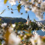 Апартаменты Tree Блед