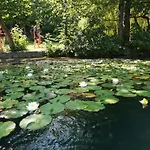 Tree Апартаменты *