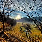 Tree Апартаменты *