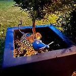 Tree アパート
