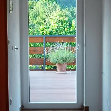 Tree Apartment