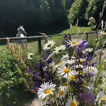 Tree 아파트 블레드