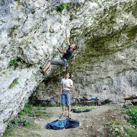 Tree 아파트 블레드