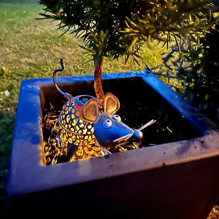 Tree Apartment