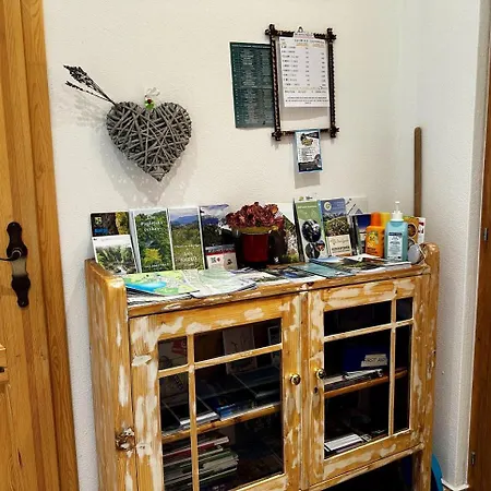 Tree 아파트 블레드