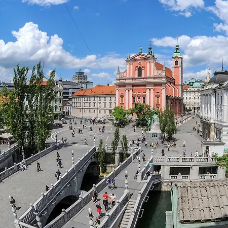 아파트 Tree 블레드