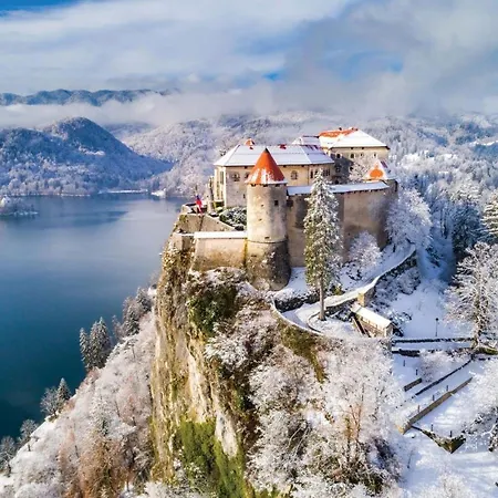 아파트 Tree 블레드