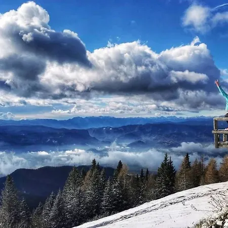 아파트 Tree 블레드