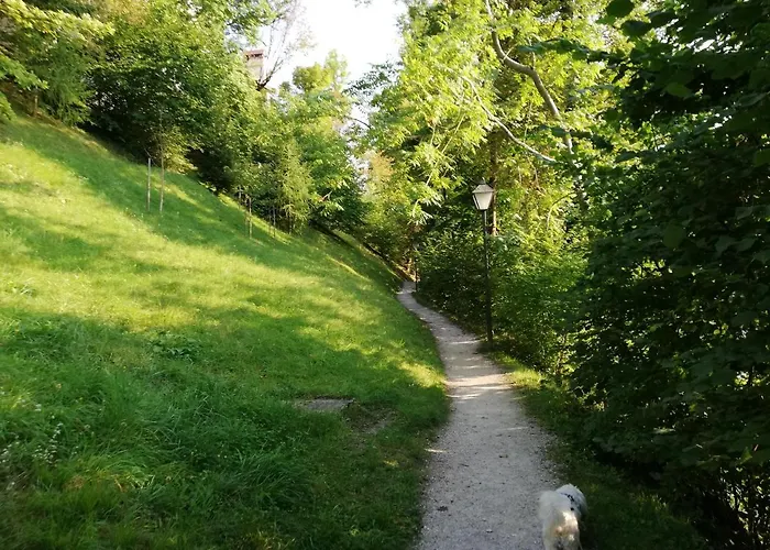 Apartamento Tree Bled