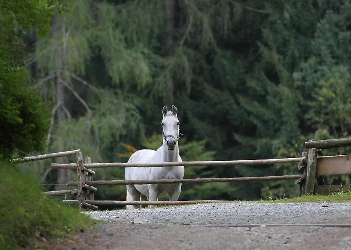 Tree Apartamento Bled