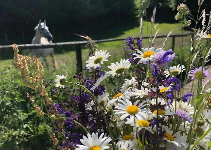 Tree Apartamento Bled