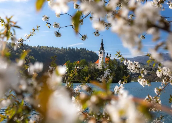 Apartamento Tree Bled