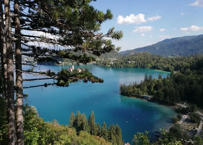 Tree Apartamento Bled