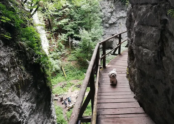 Tree Apartamento Bled