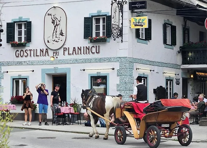 Apartamento Tree Bled