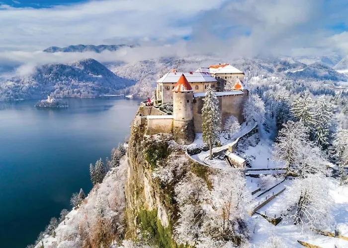 Apartamento Tree Bled