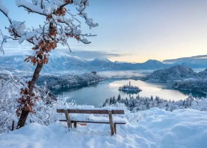 Apartamento Tree Bled