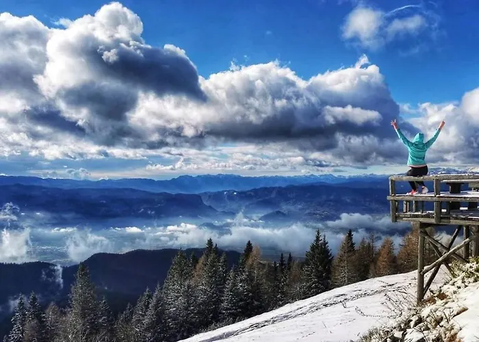 Apartamento Tree Bled