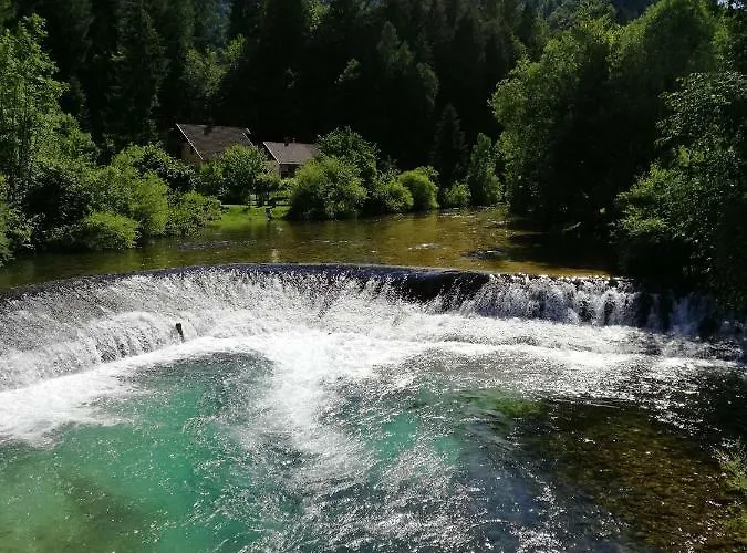 Tree Apartamento Bled